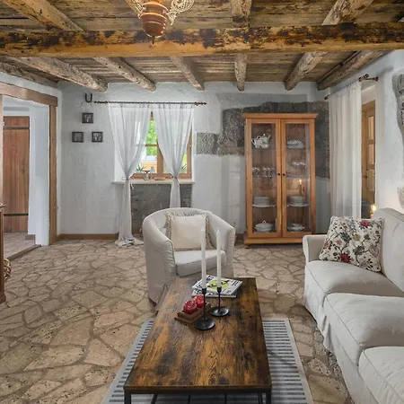 Pet Friendly In Roč